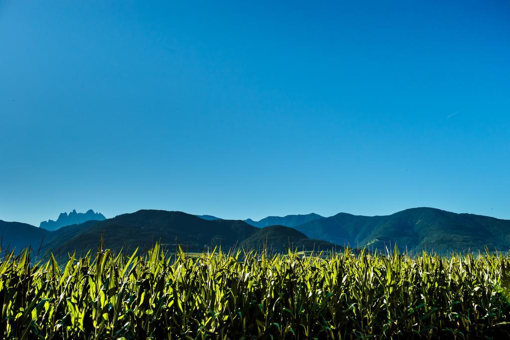 Appartamento con Vista Montagna